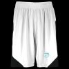 Step-Back Basketball Shorts Thumbnail