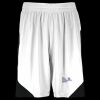 Step-Back Basketball Shorts Thumbnail